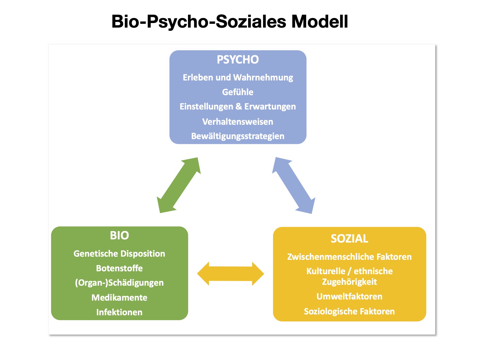 Psyche und Psychosomatik – neu